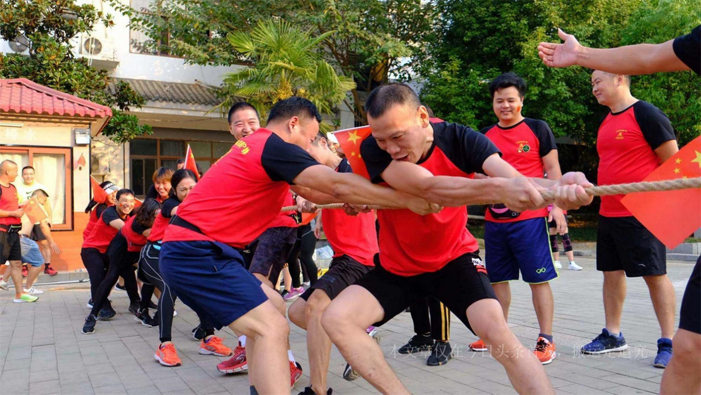 球场上的新风采！球员们展现出色技术和团队合作